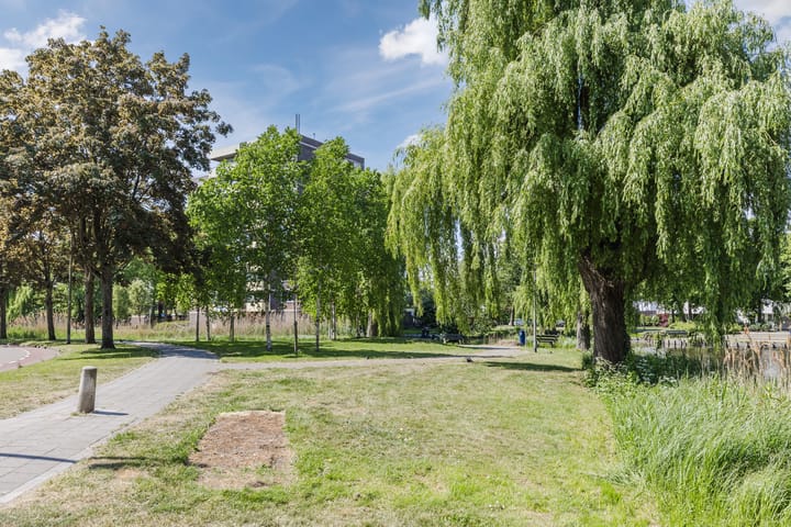 Foto 26 van Boterbloem 43