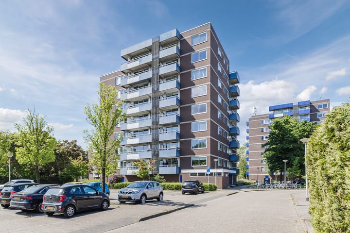 Foto 24 van Boterbloem 43