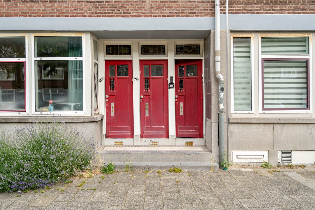 Foto 41 van Willem Buytewechstraat 123-A02