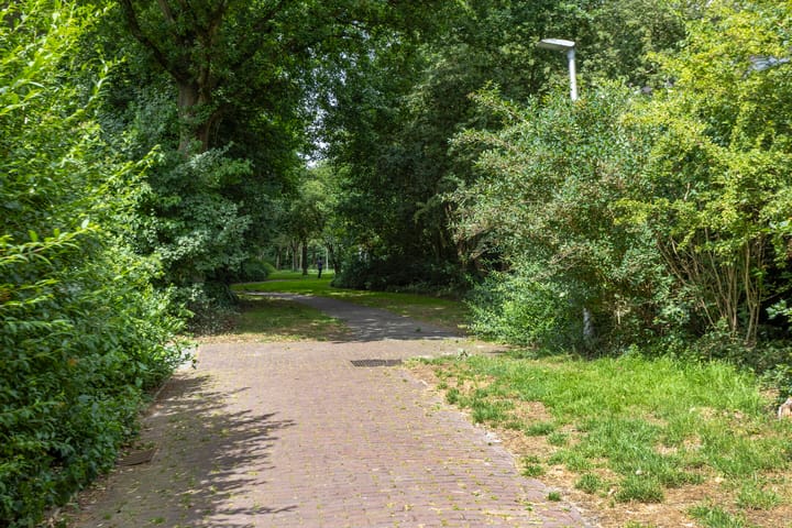 Foto 35 van Logger 175