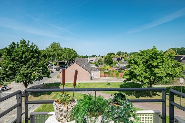 Foto 39 van Salamanderstraat 75