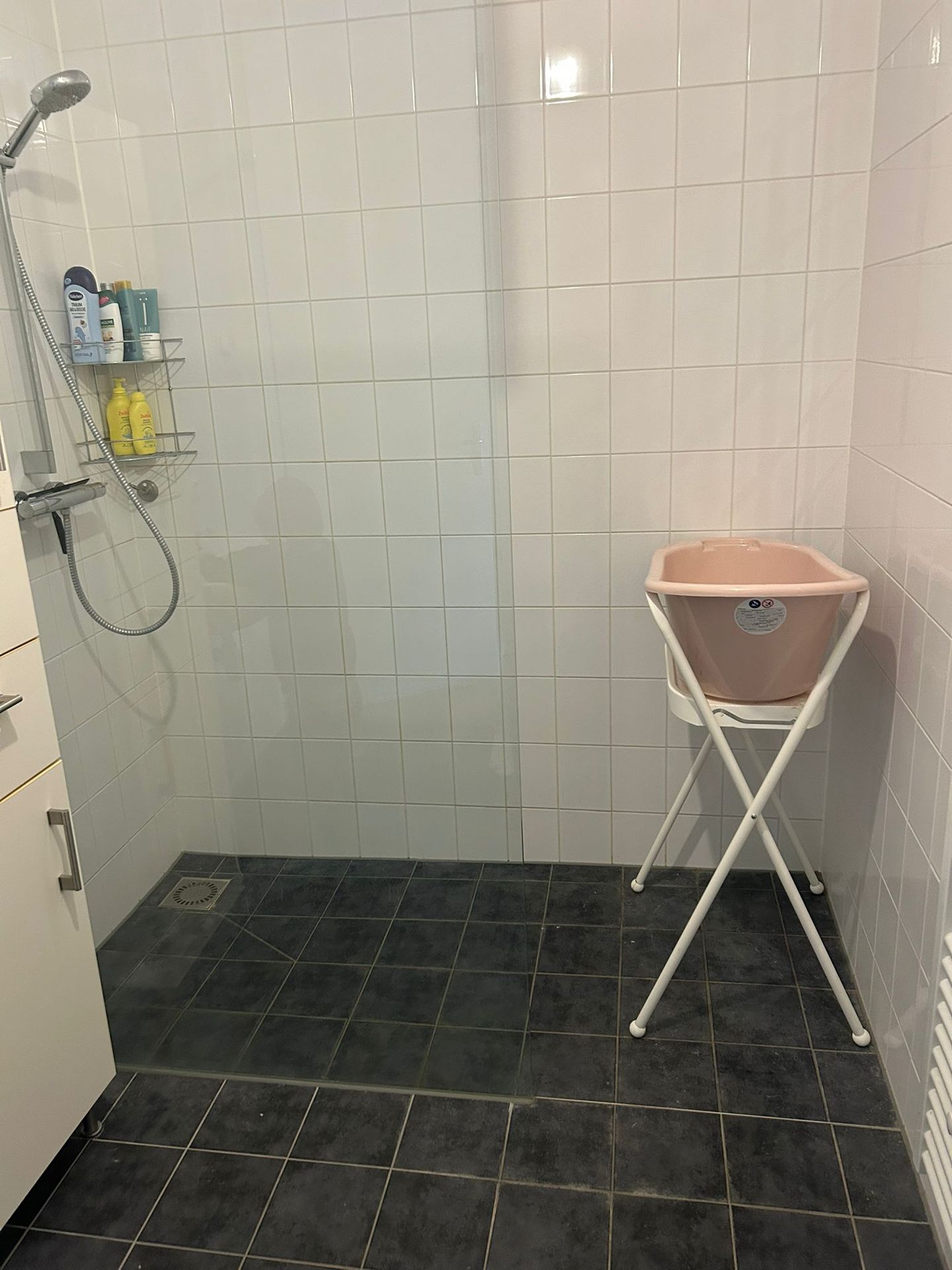 Foto 14 van Vrijenborgsedreef 10