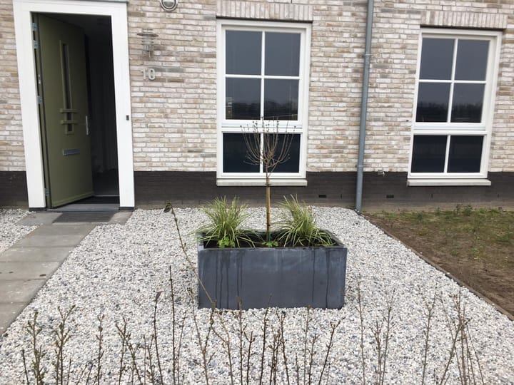 Photo 18 of Vrijenborgsedreef 10