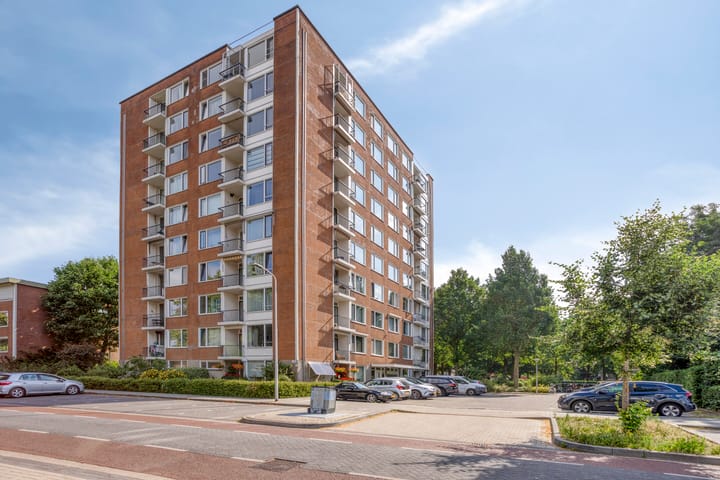 Pisanostraat 196