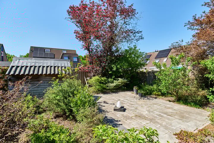 Foto 20 van Pieter Bindervoetlaan 13