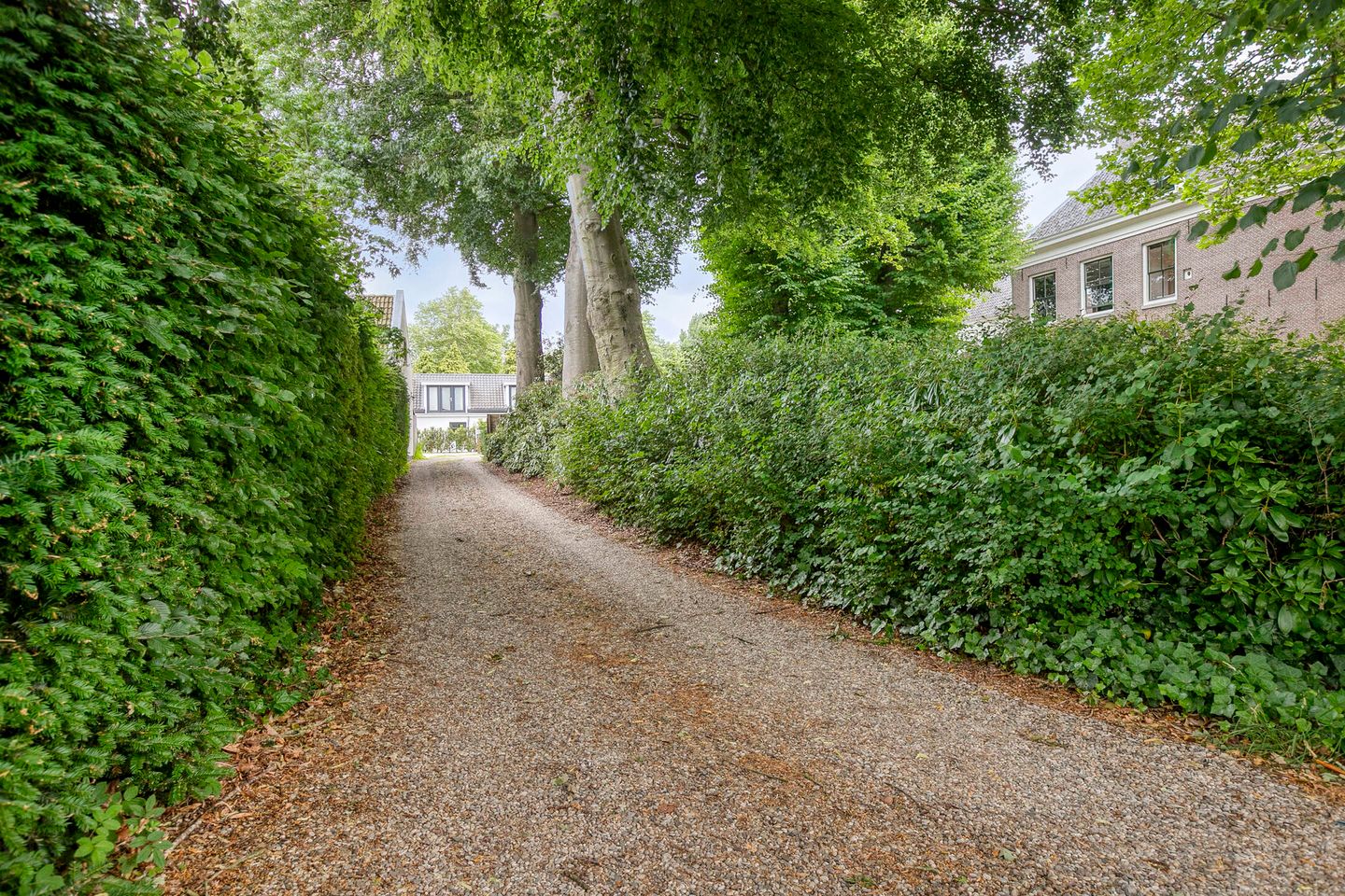 Foto 44 van Zandpad 133