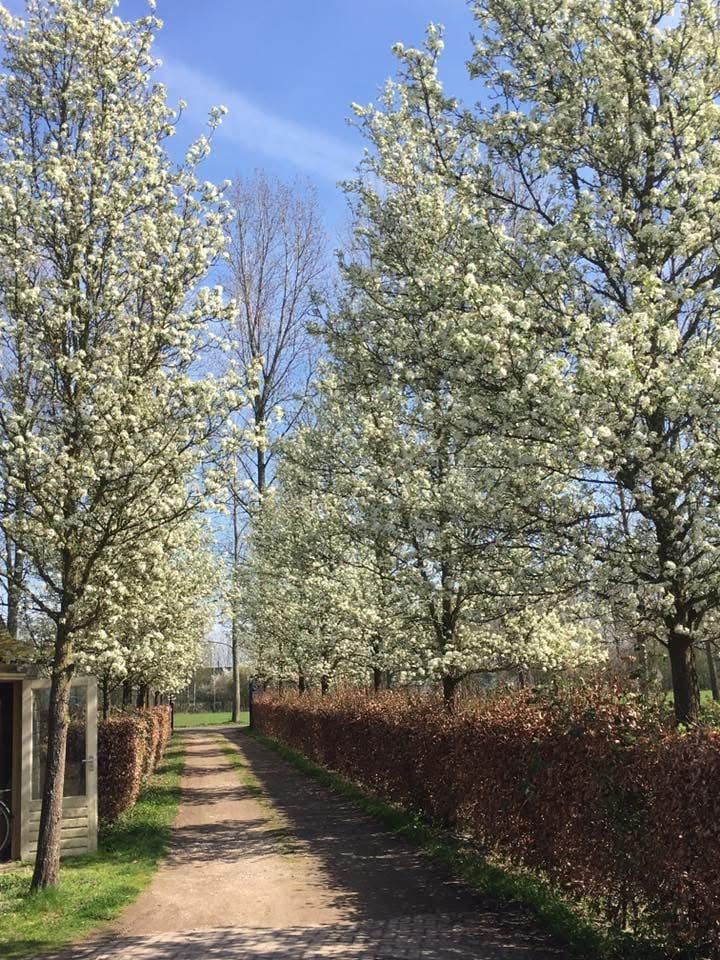 Photo 5 of Smalvelderstraat 4