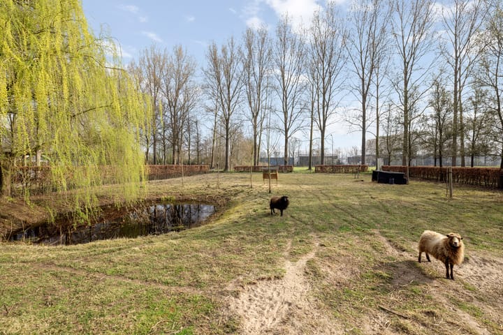 Foto 10 van Smalvelderstraat 4