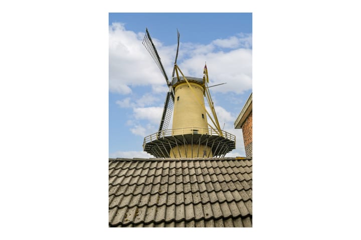 Foto 22 van Boterstraat 16