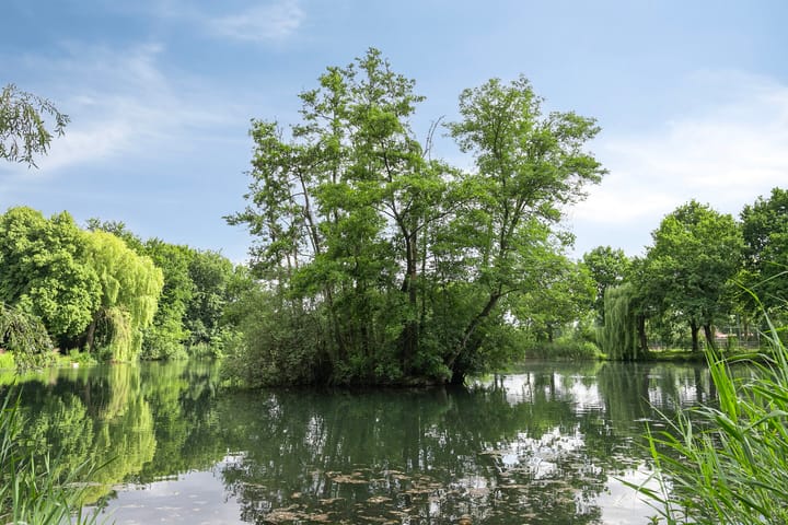 Foto 42 van Staalstraat 6