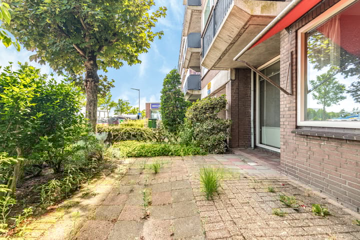 Foto 17 van Spaarndamseweg 386-0005