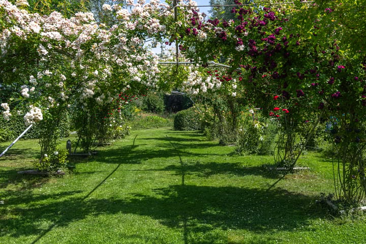 Foto 48 van Overheicop 72