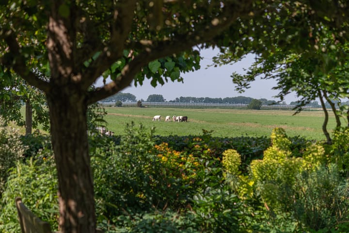 Foto 50 van Overheicop 72