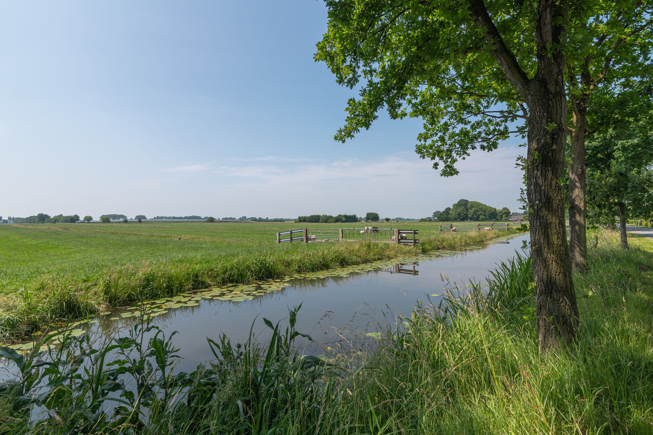 Foto 51 van Overheicop 72