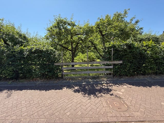 Foto 3 van Heuveltje 6