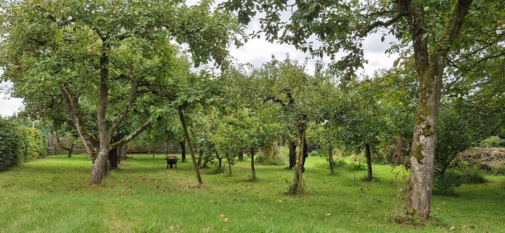 Foto 10 van Heuveltje 6