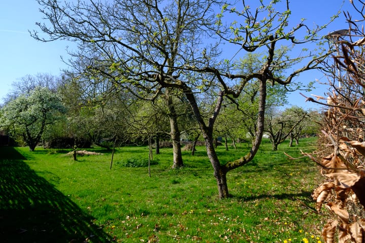 Foto 11 van Heuveltje 6