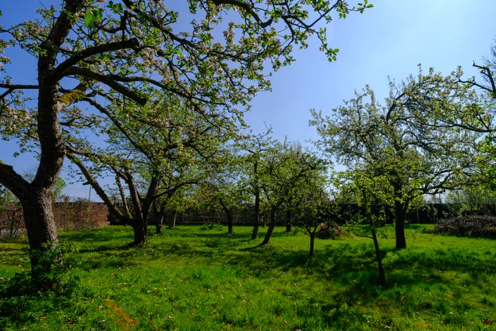 Foto 12 van Heuveltje 6