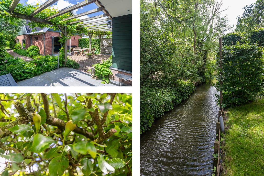 Foto 41 van Maasdijk 53-A