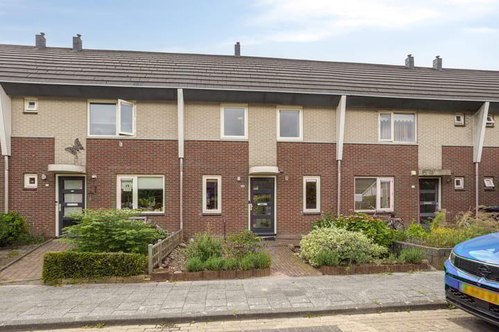 Foto 10 van Terts 24