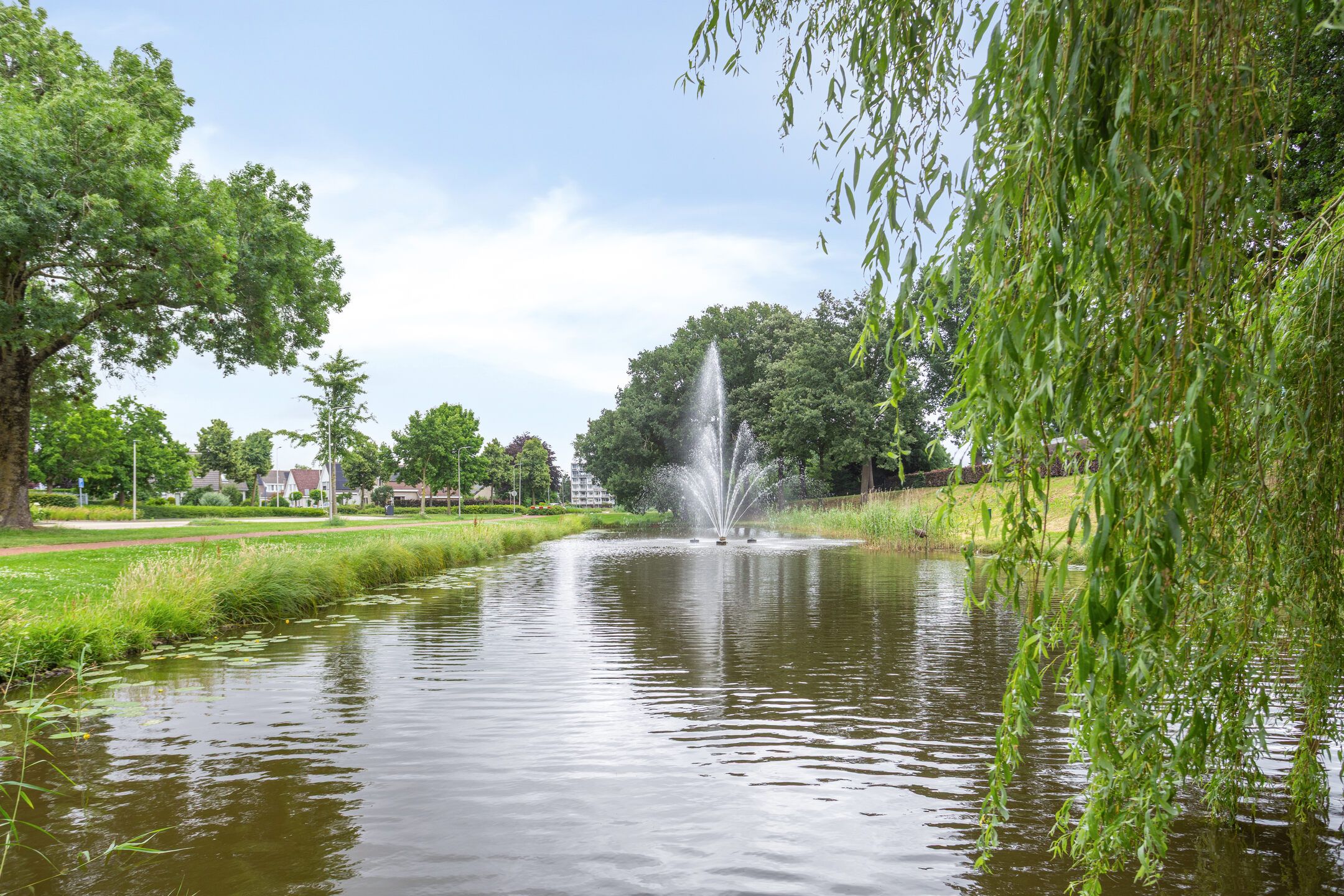 Foto 39 van Terts 24