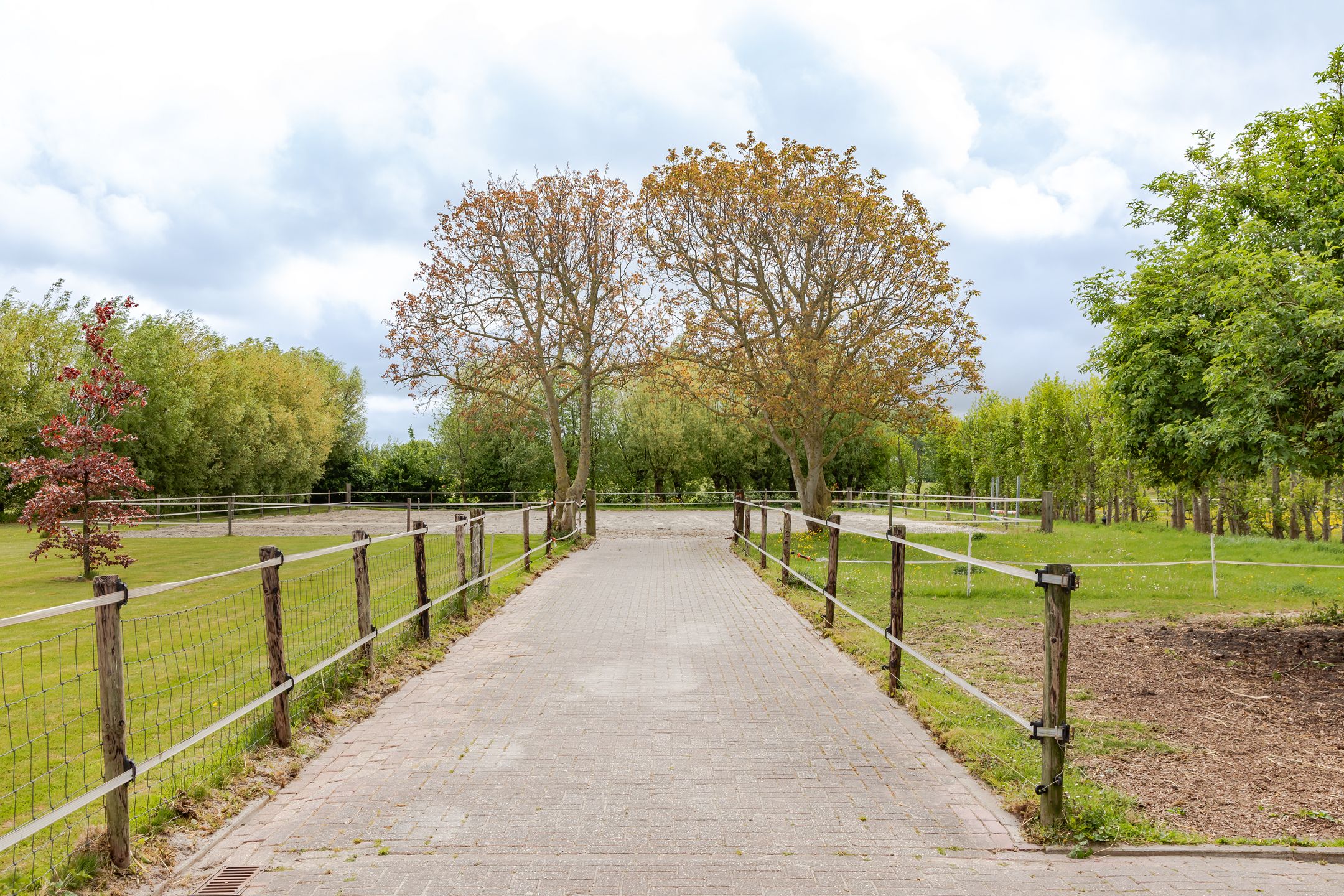 Photo 51 of Galgenkade 12