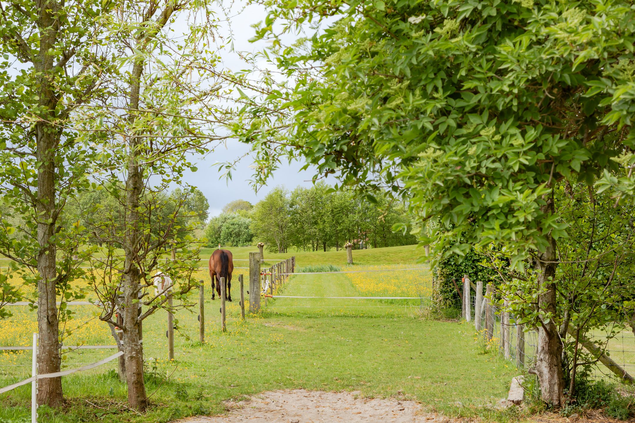 Photo 54 of Galgenkade 12