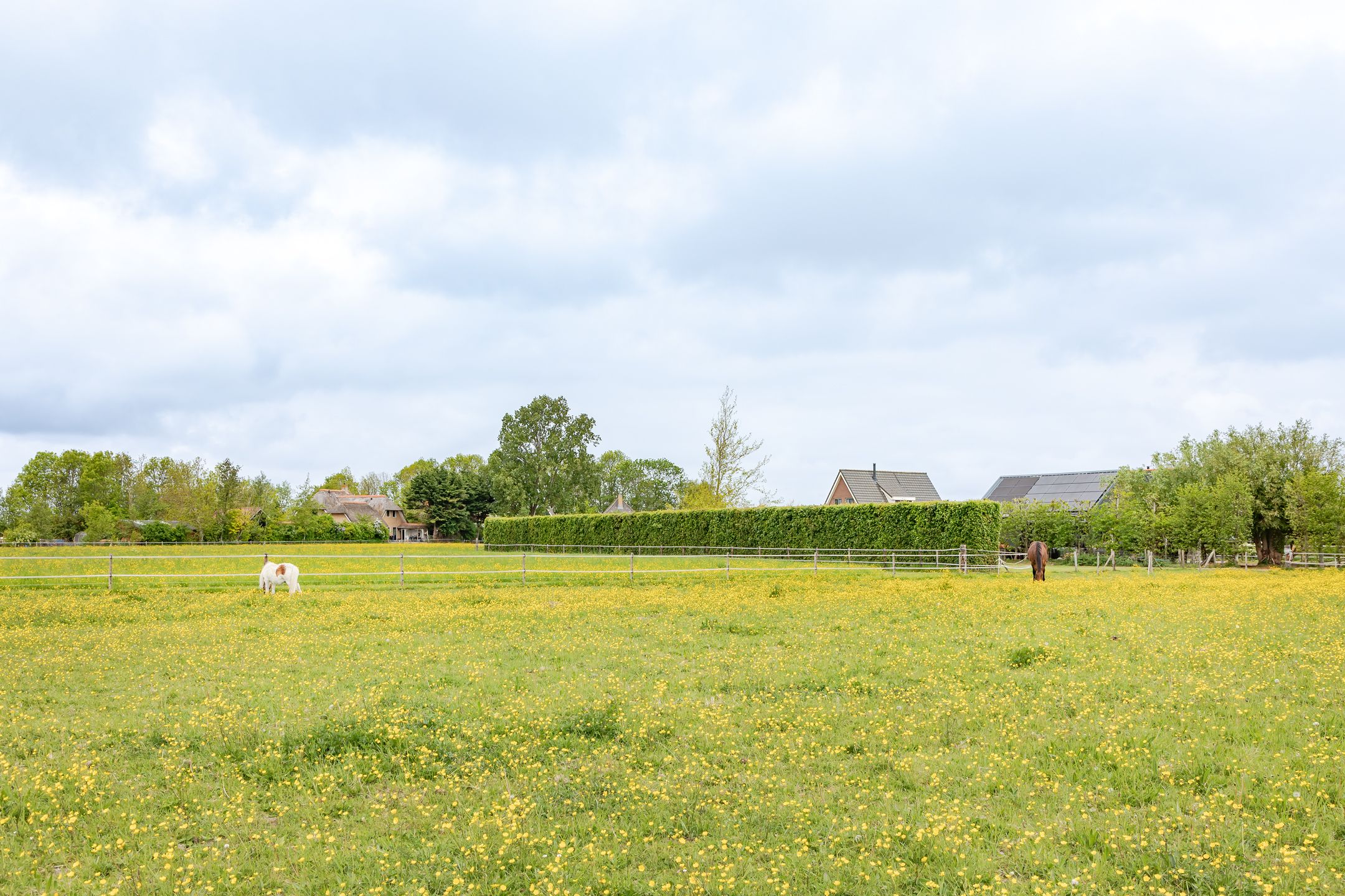 Photo 63 of Galgenkade 12