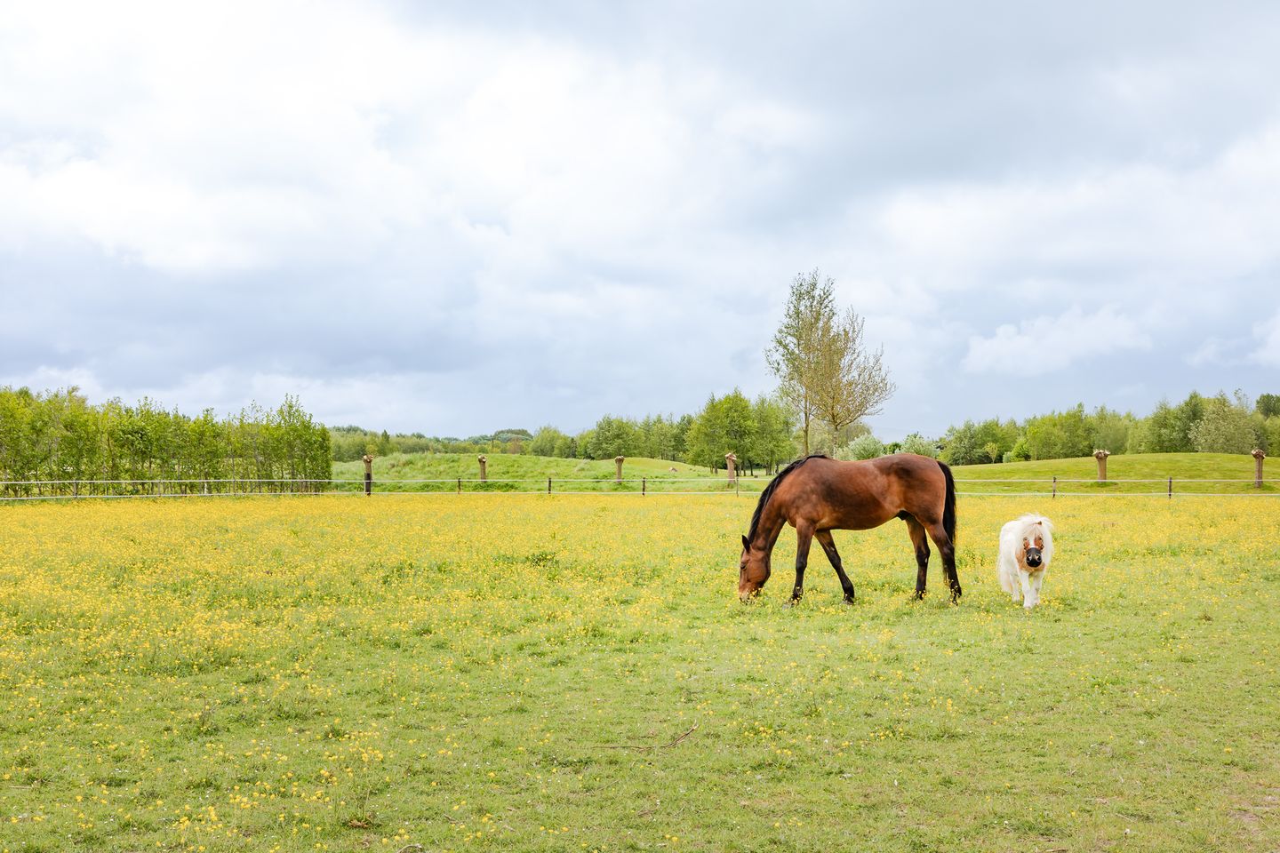 Photo 64 of Galgenkade 12