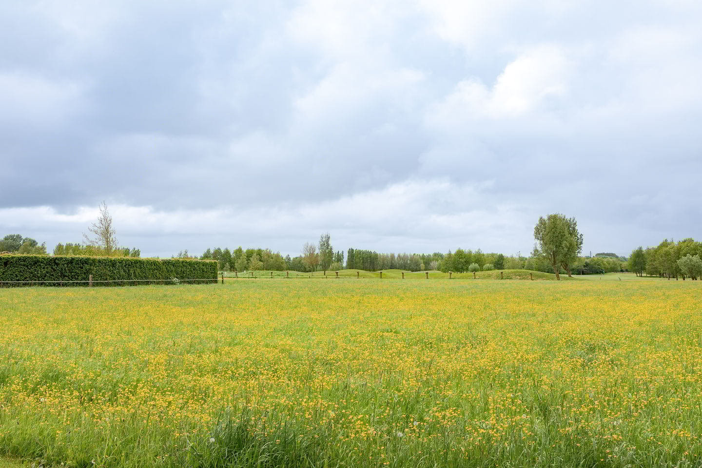 Photo 65 of Galgenkade 12