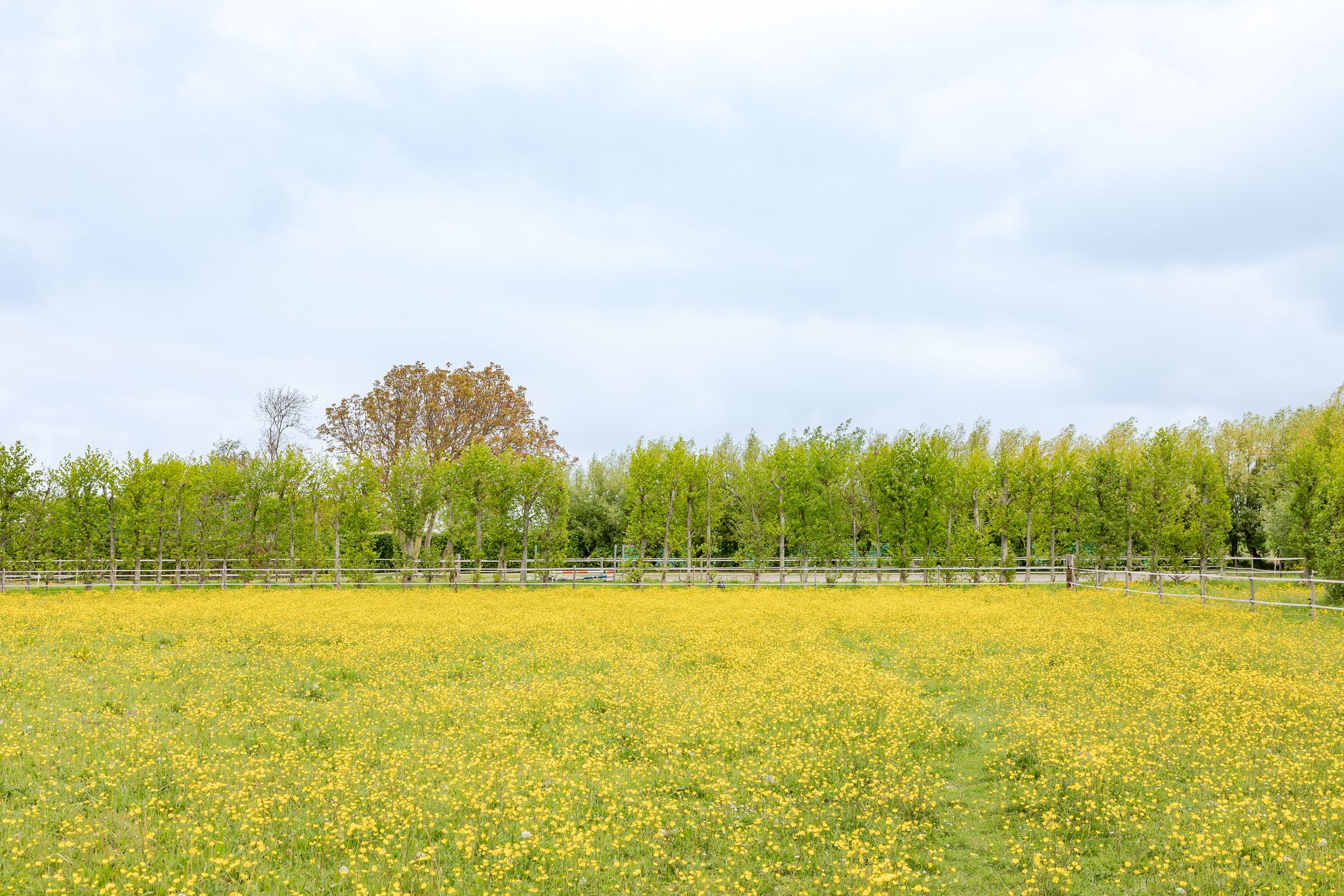 Photo 66 of Galgenkade 12