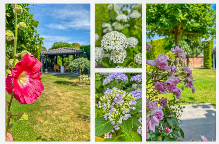 Foto 66 van Hoordstraat 15