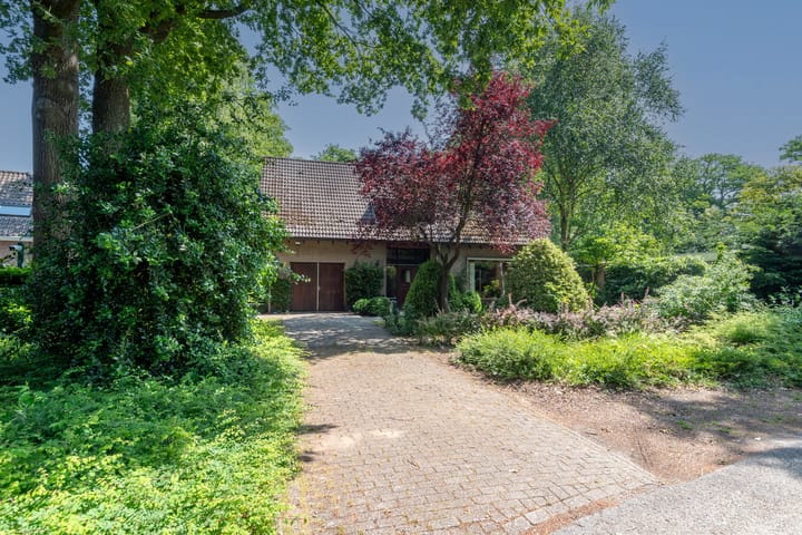 Photo 48 of Sporkehout 38