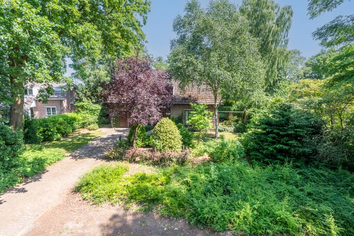 Photo 51 of Sporkehout 38