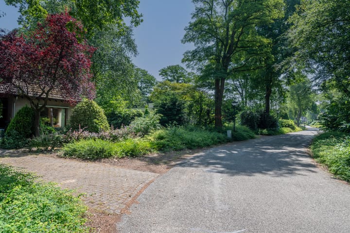 Photo 53 of Sporkehout 38