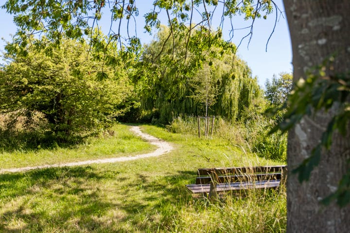 Foto 48 van Saturnusstraat 97