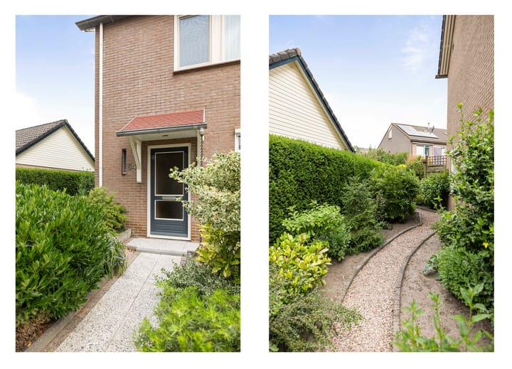 Photo 3 of Omloop 64