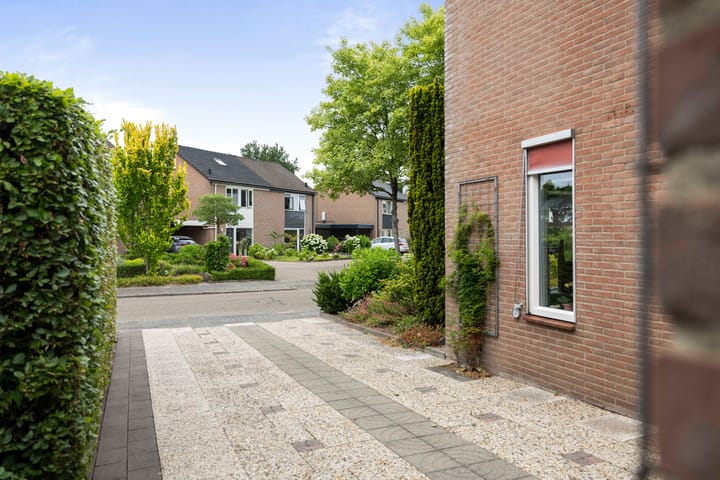 Photo 4 of Omloop 64