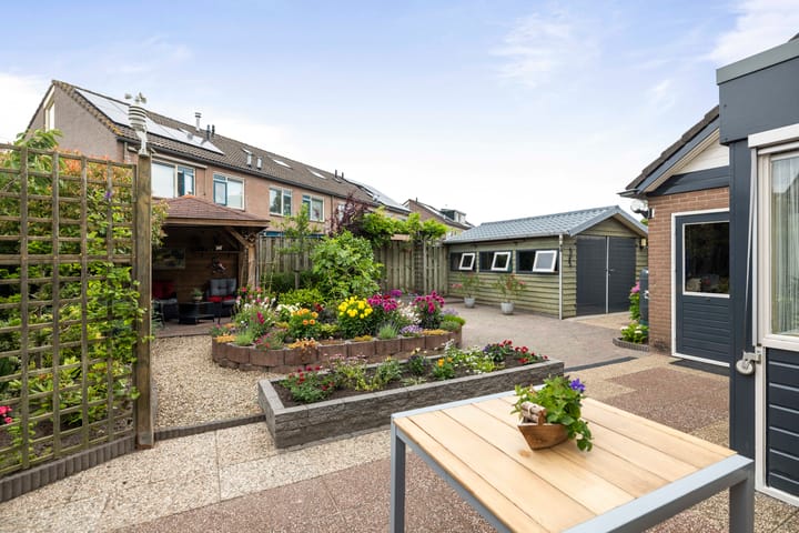 Photo 31 of Omloop 64