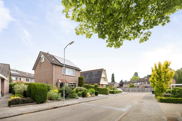 Photo 38 of Omloop 64