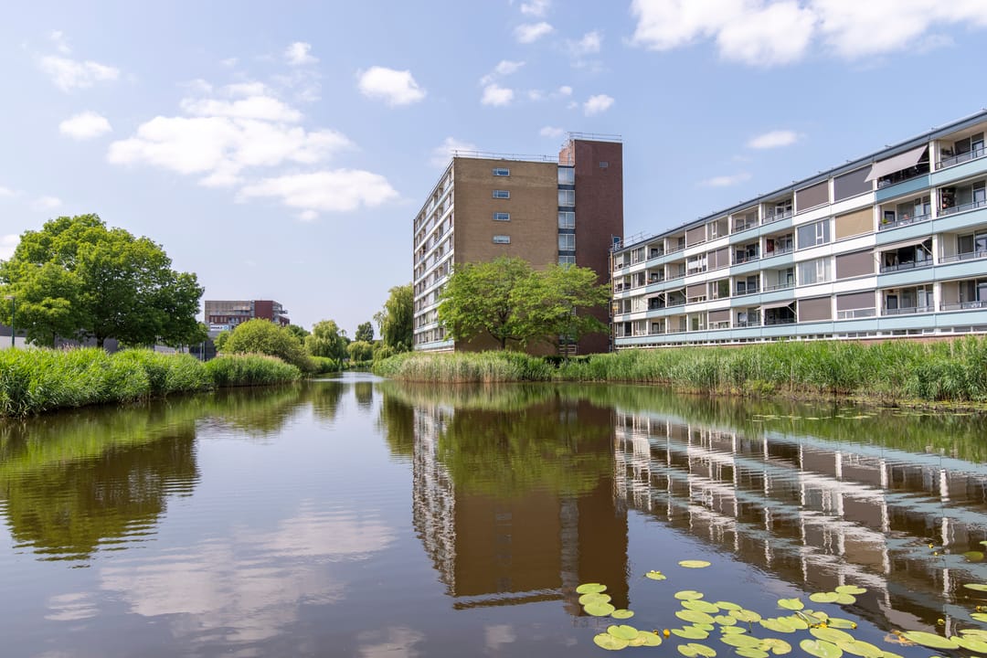 Foto 2 van De Grote Pekken 568