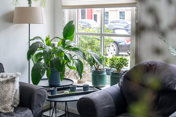 Foto 15 van Vliet 36