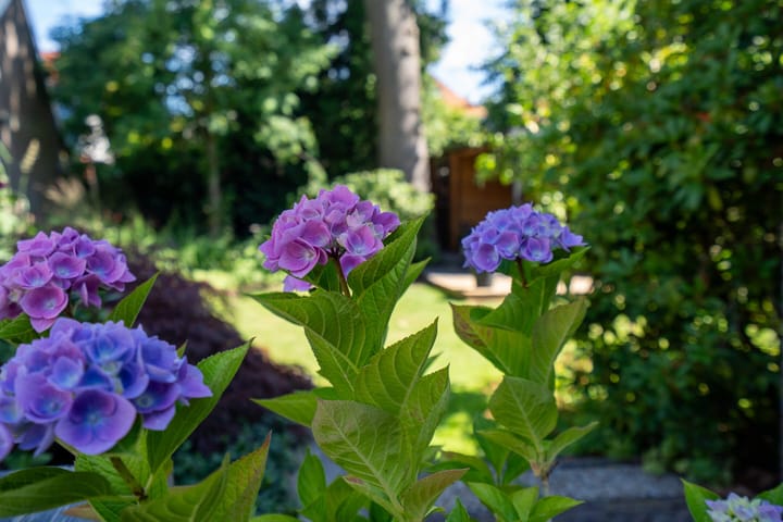 Photo 39 of A.G. Wildervanckstraat 5