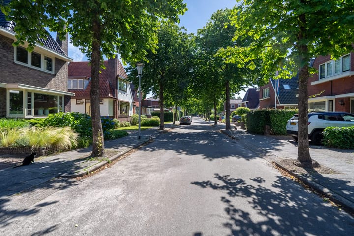 Photo 57 of A.G. Wildervanckstraat 5