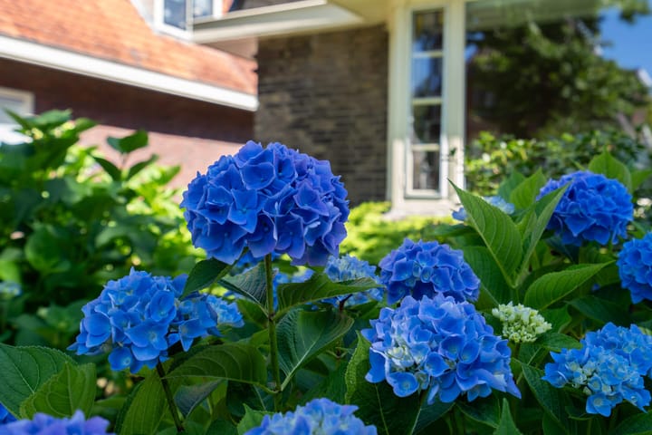 Photo 54 of A.G. Wildervanckstraat 5