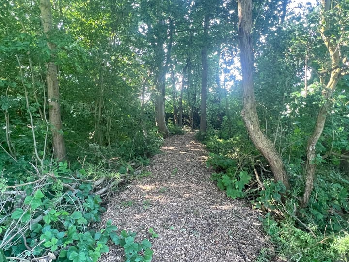 Photo 38 of Zuidweg 11-R