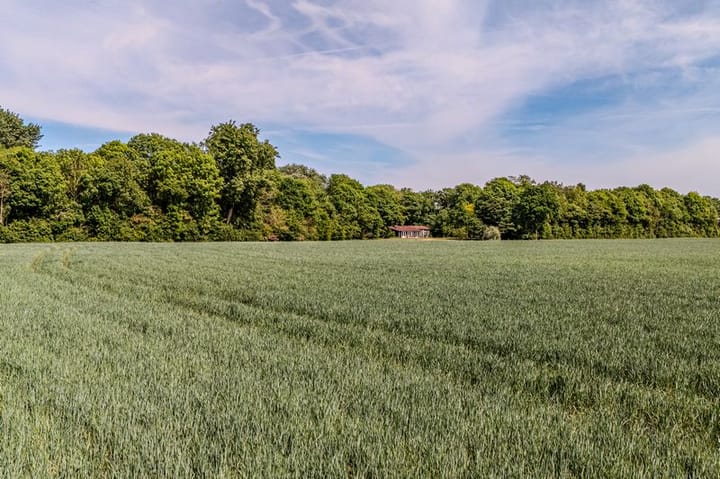 Photo 43 of Zuidweg 11-R