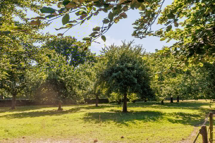 Foto 10 van Potkuilen 7