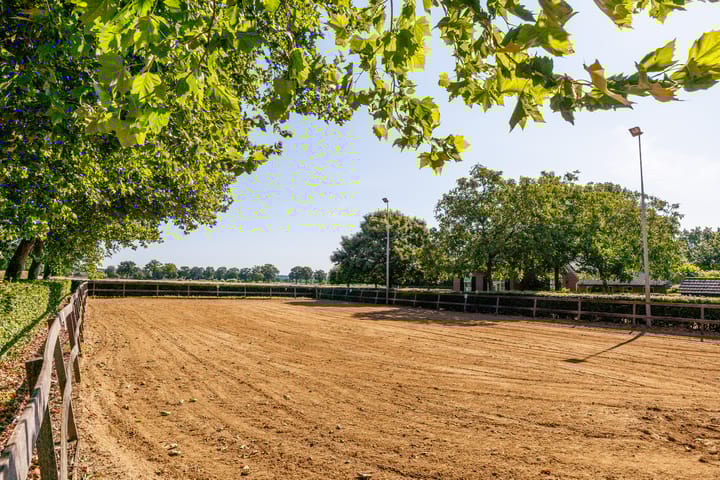 Foto 68 van Potkuilen 7