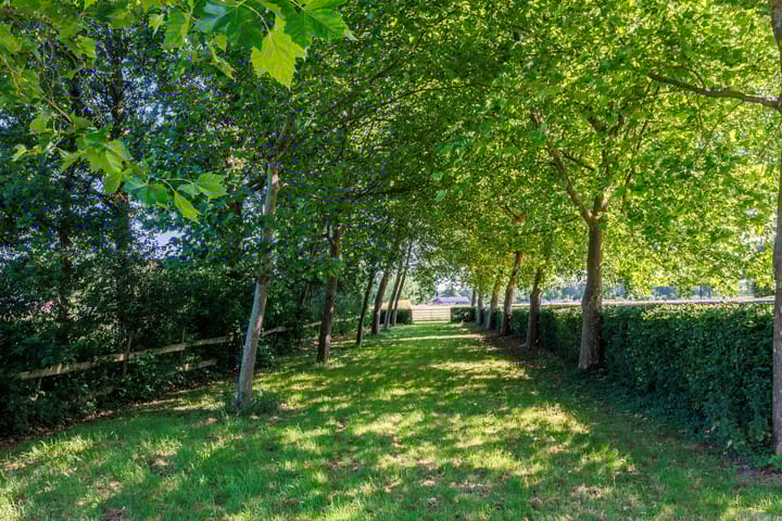 Foto 70 van Potkuilen 7